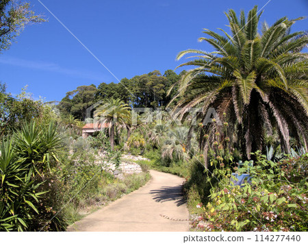 北川村「莫內花園」土撥鼠的波迪格拉花園 高知縣安藝郡北川村Notomoko 114277440
