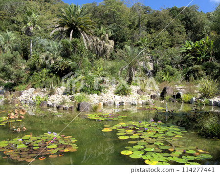 北川村「莫內花園」土撥鼠的波迪格拉花園 高知縣安藝郡北川村Notomoko 114277441