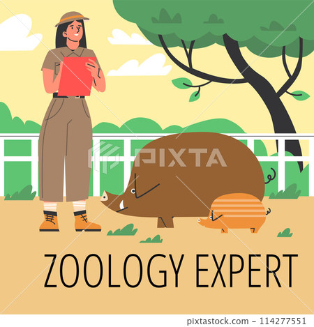 Zoological poster: female zoologist and wild boars in flat style. Zoological poster: female zoologist and wild boars in flat style. 114277551