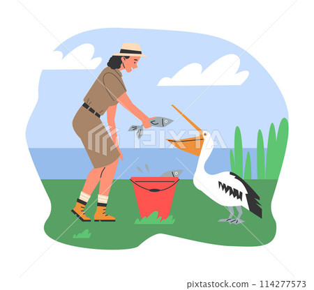 Zoologist feeding pelican vector illustration Zoologist feeding pelican vector illustration 114277573