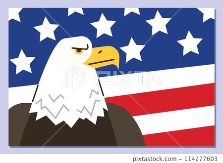 American eagle flag vector illustration 114277603