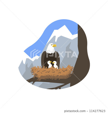 Large wild eagle sitting in nest with chicks flat style, vector illustration 114277623