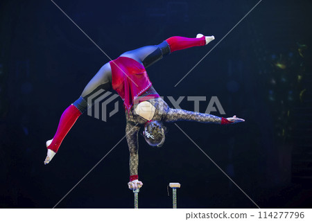 A gymnast performs in a show. A girl gymnast performs a circus acrobatic performance. 114277796