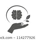Mental health of the brain.  114277926