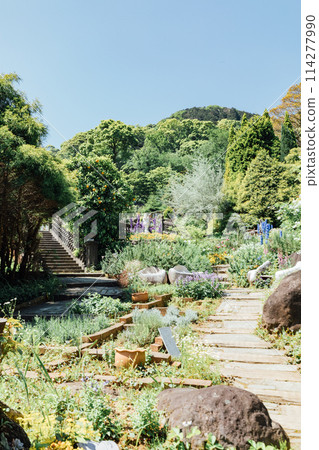 [Shizuoka Prefecture] ACAO FOREST in Atami: A herb garden perfect for social media 114277990