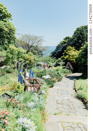 [靜岡縣] 熱海 ACAO FOREST - SNS拍照地點 - 香草園 114278009