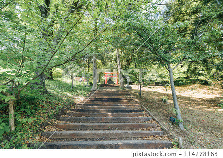 Shizuoka Prefecture: ACAO FOREST in Atami, Soga Sengen Shrine Shizuoka Prefecture: ACAO FOREST in Atami, Soga Sengen Shrine 114278163