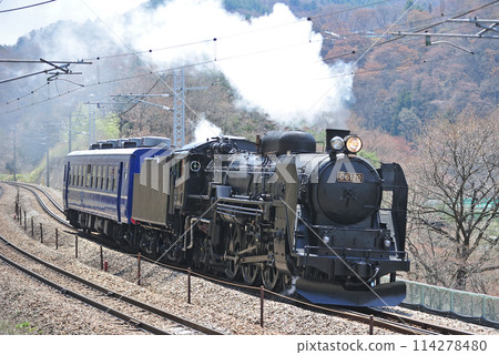 上越線 上牧水上 JR東日本 C61-20+Suhafu 12-161（高崎） 試運行 114278480