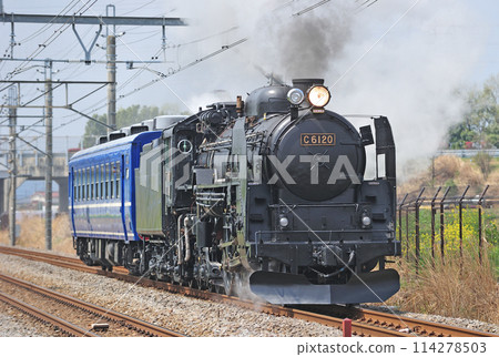 高崎線 井野新前橋 JR東日本 C61-20+Suhafu 12-161(高崎)試運行 高崎線 井野新前橋 JR東日本 C61-20+Suhafu 12-161(高崎)試運行 114278503