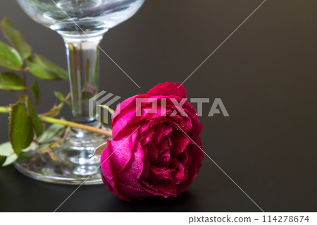 Beautiful red rose with dew drops close to the glass 114278674