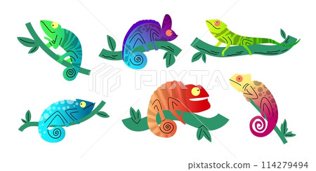 Diverse chameleons on branches vector set 114279494