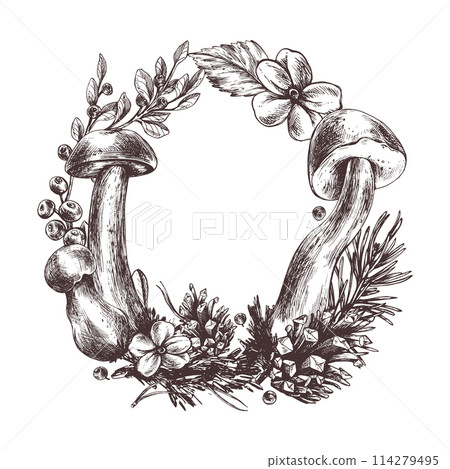 Edible wild boletus mushrooms with blueberries and lingonberries, leaves, fir and cones. Graphic illustration, hand drawn with brown ink, line art. Round frame, wreath, template for text. 114279495