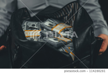 Millions of dollars in bundles in an unzipped bag in front of a businessman on a black background. Beautiful picture of a bag full of dollars. The concept of advertising wealth, victory. 114280281