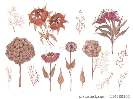 Modern set in boho style. Watercolor flowers. Scandinavian colours. Flower set. Summer wallpaper. Ideal for tableware, textile ornaments, posters and prints Modern set in boho style. Watercolor flowers. Scandinavian colours. Flower set. Summer wallpaper. Ideal for tableware, textile ornaments, posters and prints 114280303