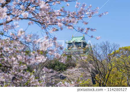 [Cherry Blossoms] Osaka Castle Park in Spring [Osaka Castle Tower] 114280527