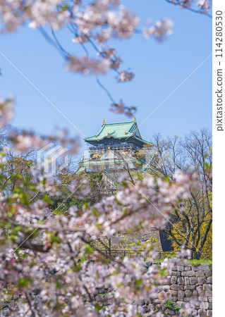 [Cherry Blossoms] Osaka Castle Park in Spring [Osaka Castle Tower] 114280530