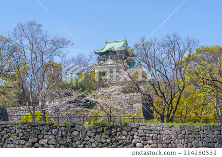 [Cherry Blossoms] Osaka Castle Park in Spring [Osaka Castle Tower] 114280531