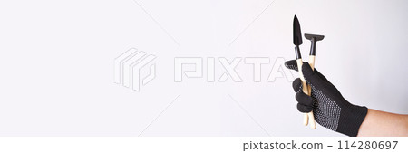 Woman hand holding gardening tools. Tends to a young echeveria in a decorative 114280697