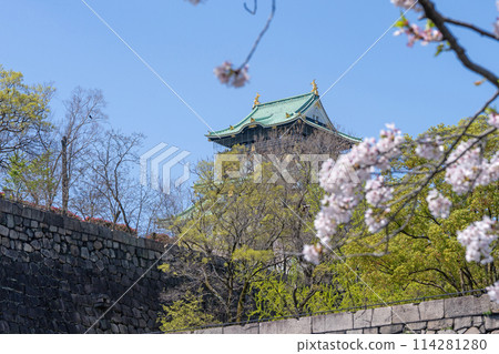 [Cherry Blossoms] Osaka Castle Park in Spring [Osaka Castle Tower] 114281280