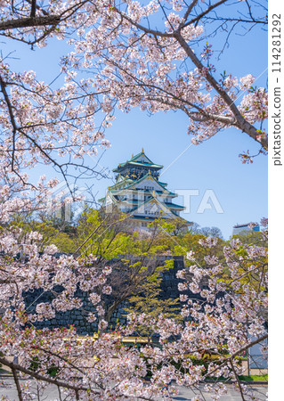 [Cherry Blossoms] Osaka Castle Park in Spring [Osaka Castle Tower] 114281292