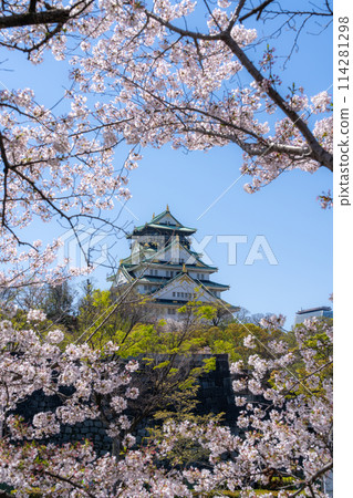 [櫻花]春天的大阪城公園[大阪城天守閣] 114281298