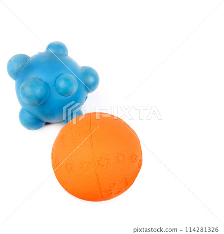 Set of dog toys isolated on white. Free space for text. 114281326