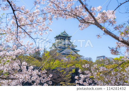 [Cherry Blossoms] Osaka Castle Park in Spring [Osaka Castle Tower] 114281432
