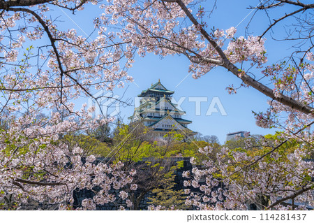 [櫻花]春天的大阪城公園[大阪城天守閣] 114281437