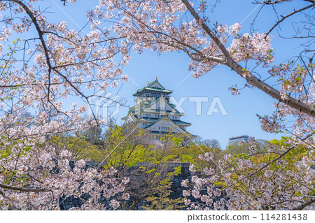 [Cherry Blossoms] Osaka Castle Park in Spring [Osaka Castle Tower] 114281438