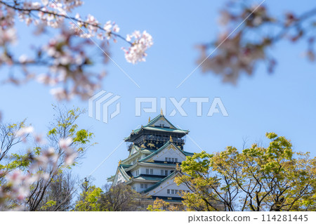 [Cherry Blossoms] Osaka Castle Park in Spring [Osaka Castle Tower] 114281445