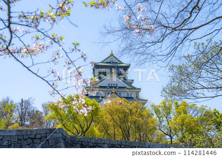 [Cherry Blossoms] Osaka Castle Park in Spring [Osaka Castle Tower] 114281446
