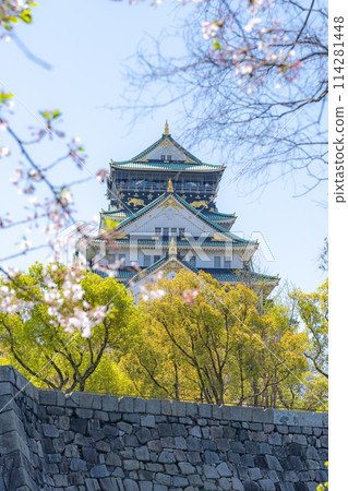 [Cherry Blossoms] Osaka Castle Park in Spring [Osaka Castle Tower] 114281448