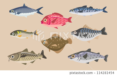 Set of fresh and delicious seafood fish 114281454