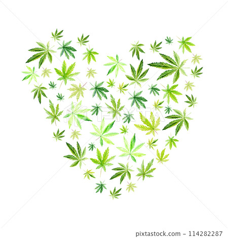 Green cannabis heart on white background,green leaves Hand drawn watercolor illustration, medicine herb plant 114282287