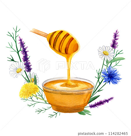 Composition of watercolor elements with cup of honey, dandelion, cornflower, sage, chamomile for design, postcards, logos, business cards, invitations 114282465