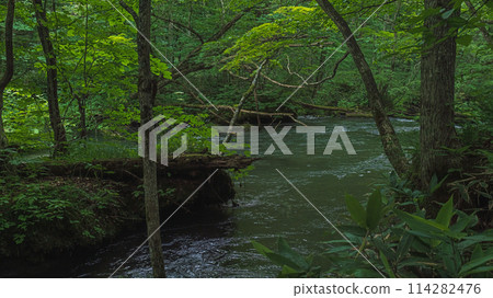 Aomori Oiru Irise mountain stream 114282476
