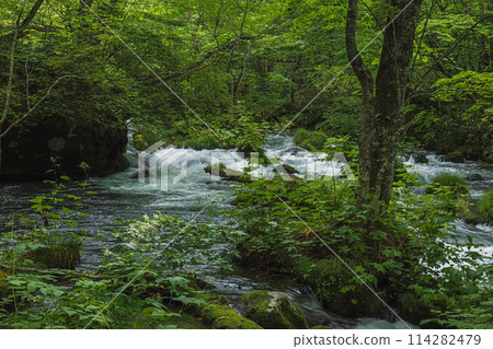 青森Oiru Irise山間溪流 114282479