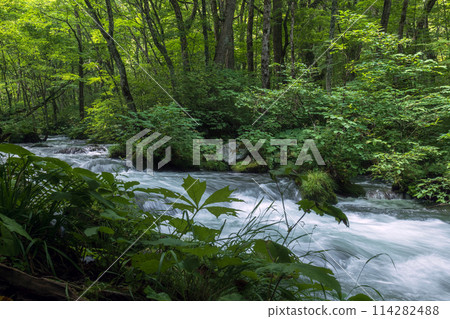 Aomori Oiru Irise mountain stream Aomori Oiru Irise mountain stream 114282488