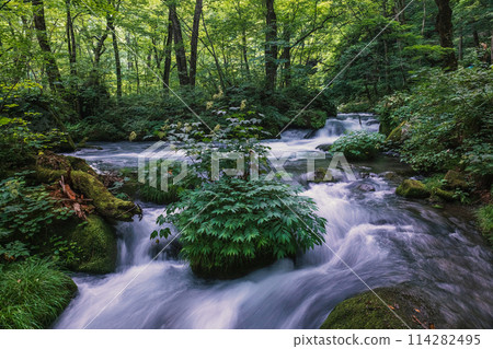 Aomori Oiru Irise mountain stream Aomori Oiru Irise mountain stream 114282495