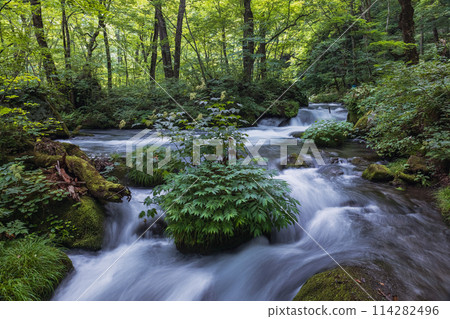 Aomori Oiru Irise mountain stream Aomori Oiru Irise mountain stream 114282496