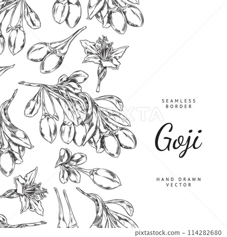 Goji branches and flowers vector pattern 114282680
