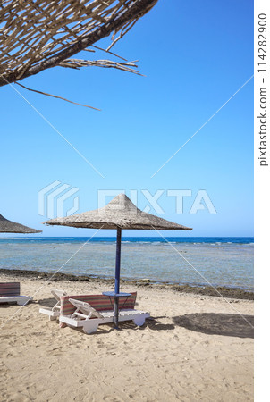 Beautiful sandy beach with sun loungers and umbrellas, Marsa Alam region, Egypt. Beautiful sandy beach with sun loungers and umbrellas, Marsa Alam region, Egypt. 114282900
