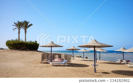 Beautiful sandy beach with sun loungers and umbrellas, Marsa Alam region, Egypt. 114282902