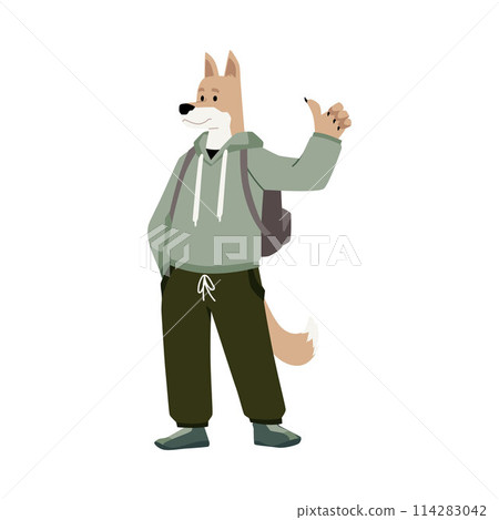 Fluffy dog character in human style, vector illustration. 114283042