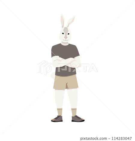 Full length anthropomorphic rabbit, flat vector illustration. 114283047