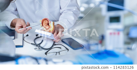 Doctor discussing embryo development with patient . 114283126
