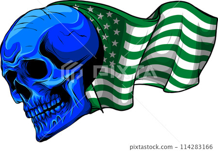 vector illustration of skull with american flag. digital hand draw design 114283166