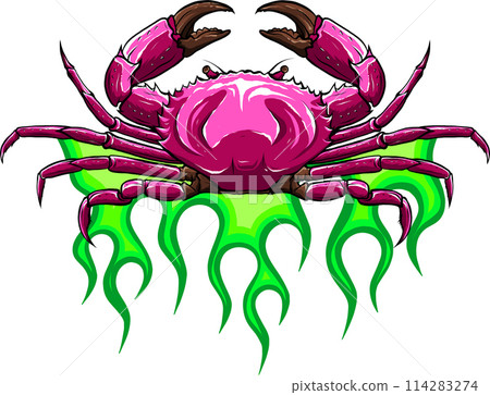 vector illustration of colored crab on white background. digital hand draw design vector illustration of colored crab on white background. digital hand draw design 114283274