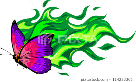 morpho butterfly on white background. Vector illustration. morpho butterfly on white background. Vector illustration. 114283305