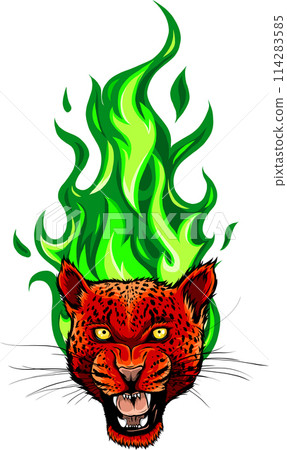 vector illustration of Roaring leopard head on white background. digital hand draw design vector illustration of Roaring leopard head on white background. digital hand draw design 114283585